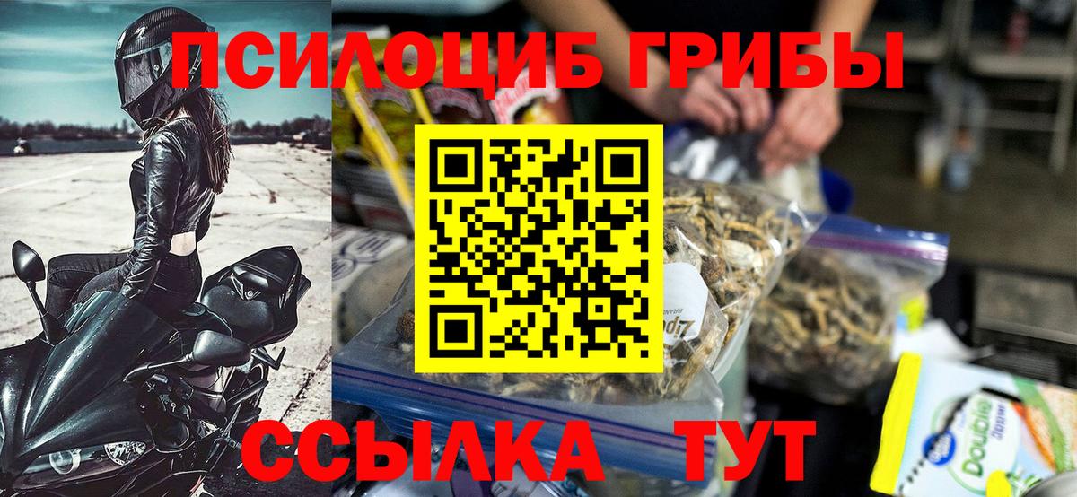 Псилоцибиновые грибы GOLDEN TEACHER  Галлюциногенные грибы GOLDEN TEACHER  Реутов  Вход с VPN 