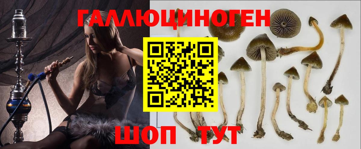 Псилоцибиновые грибы мухоморы Реутов